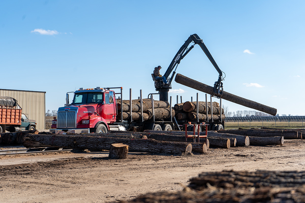 持続可能な森林から伐採された木材