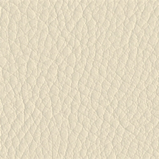 ivory_up