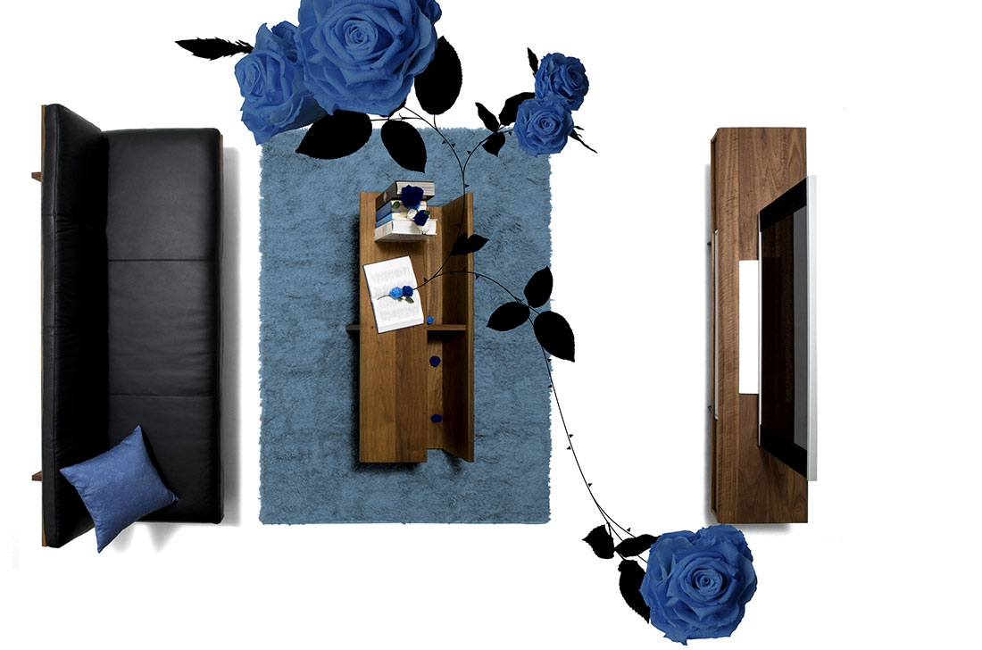 リビング ビジュアル