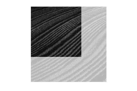 heaven PEBBLE GARDEN RUG(150×150cm)の通販 / マスターウォール