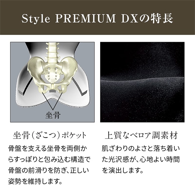 Style | PREMIUM DX