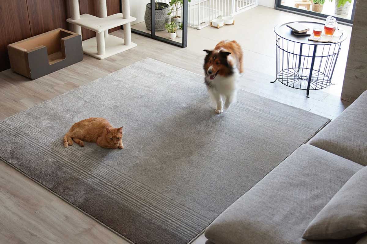 SUMINOE | Merle2 190×190