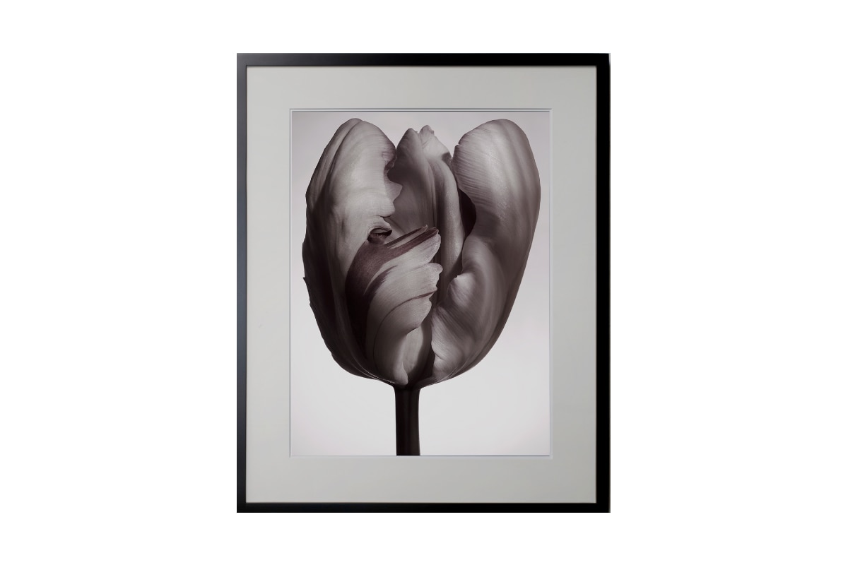 マスターウォール セレクト 並び順 商品名 48 50ページ