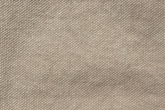 CANVAS/マッシュルーム