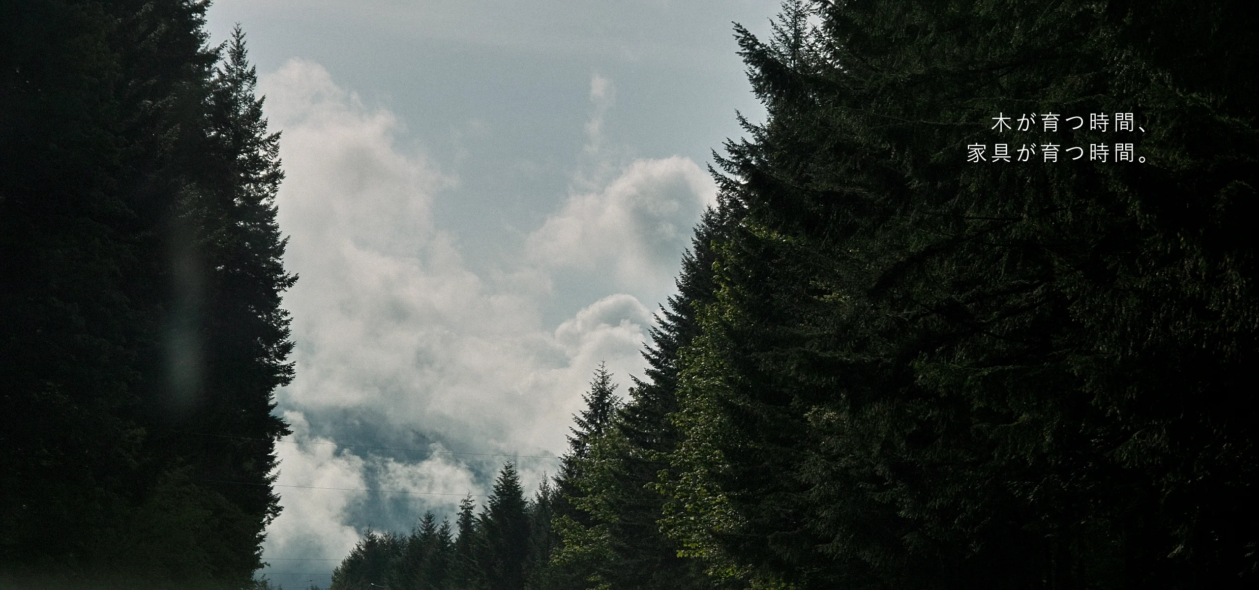 木が育つ時間、家具が育つ時間。