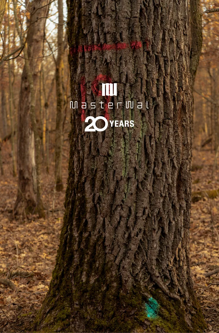 20周年